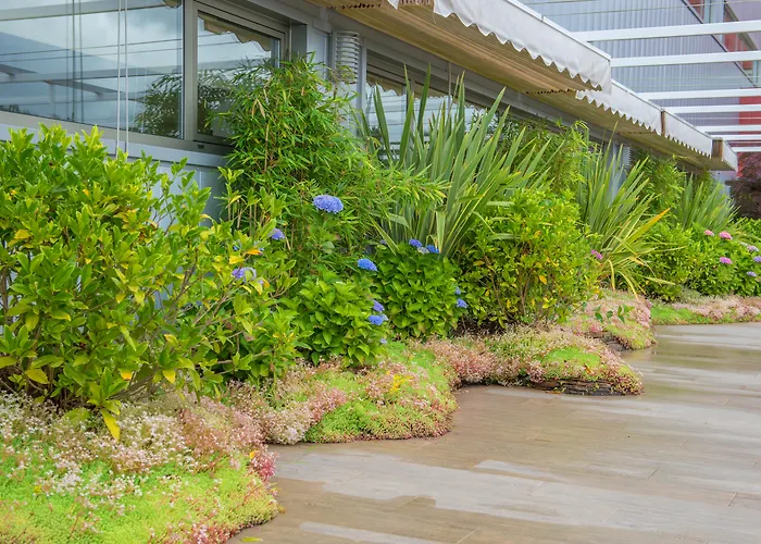 Hotel Norat Torre Do Deza 4* Superior 4*